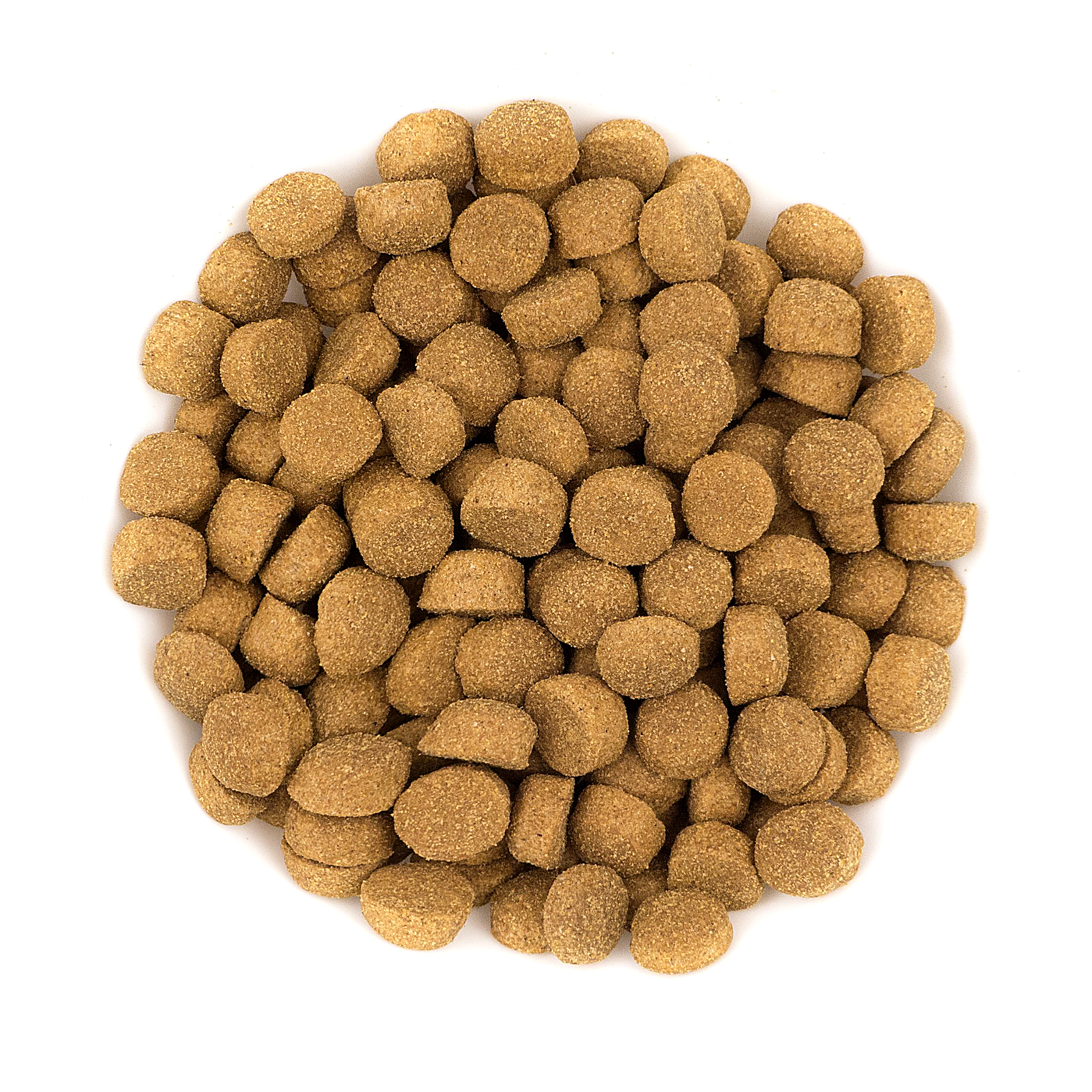 Avantis Gourmet kibble