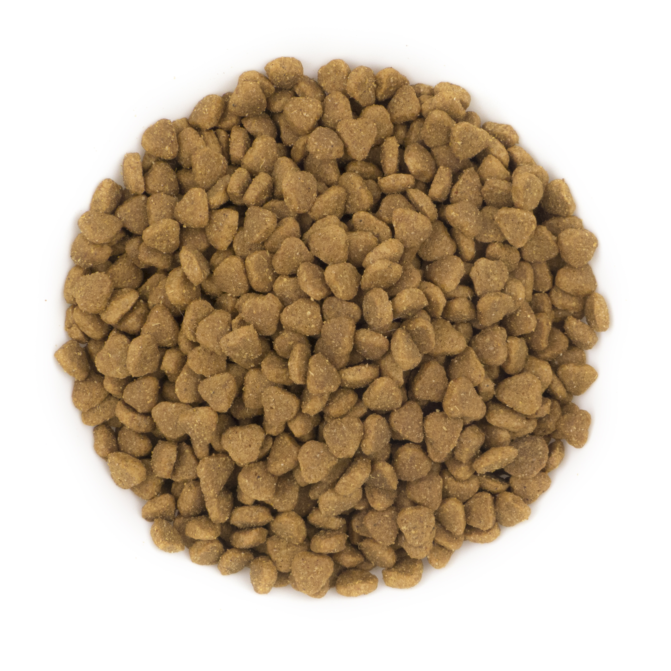 Pure Adult Brave Mini kibble